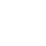 proauto-150x150
